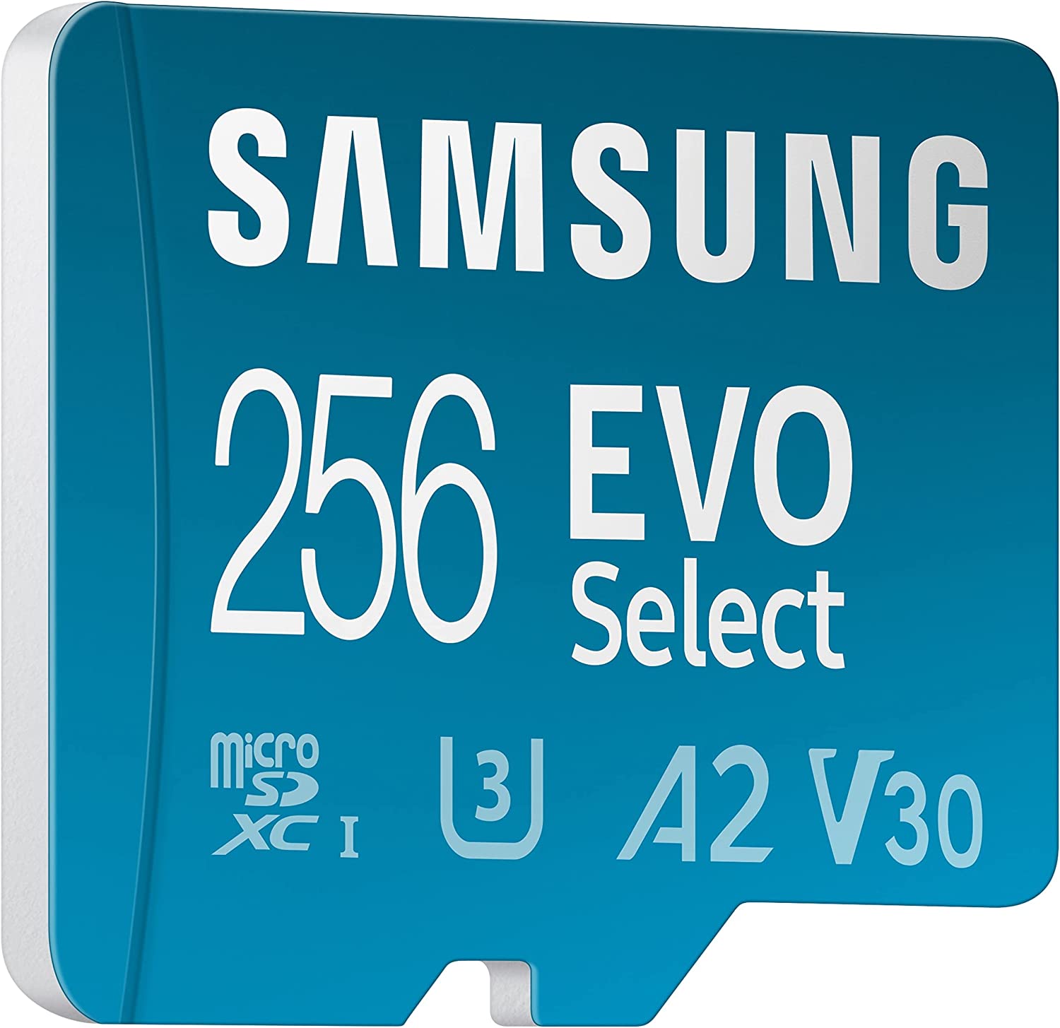 Other Users Opinion Samsung EVO Select 256GB MicroSD Card